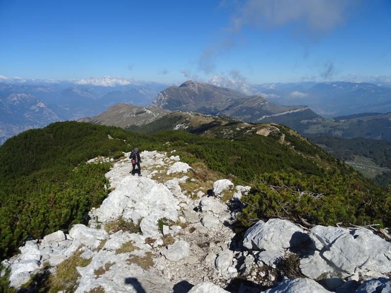 Cima delle Pozzette  m.2132 - Gruppo del Monte Baldo (VR)